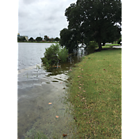 Hurricane Florence  image